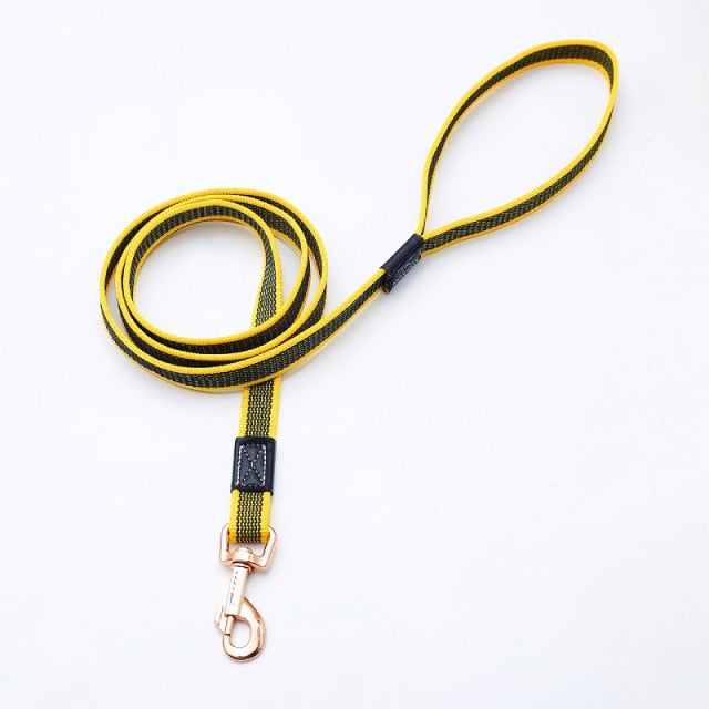 Non-Slip Rubber Nylon Training Walking Rope