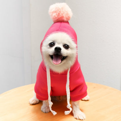 Cute Fruit Dog Clothes for Small Dogs hoodies Warm Fleece Pet Clothing Puppy Cat Costume Coat for French Chihuahua Jacket Suit